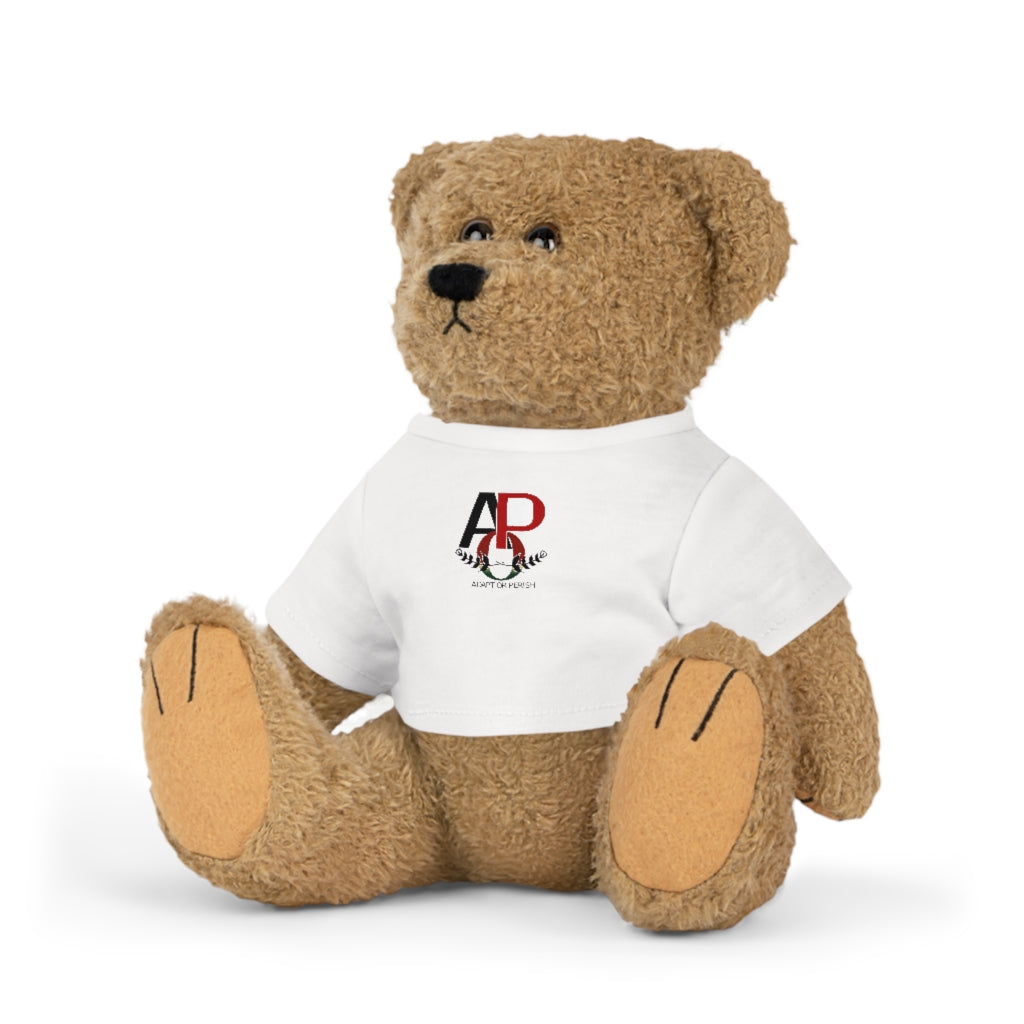 Plush Toy with T-Shirt